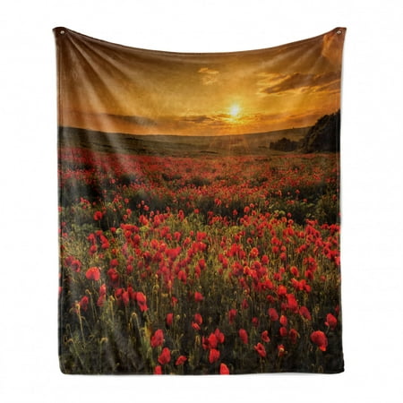 

Flower Soft Flannel Fleece Throw Blanket Poppy Field at Sunset Sun Beams Meadow Cloudscape Wildflower Scene Cozy Plush for Indoor and Outdoor Use 50 x 70 Marigold Scarlet by Ambesonne