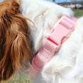 thumbnail image 2 of Vibrant Life Neoprene Cushioned Adjustable Dog Collar, Soft PInk, Small, 2 of 8
