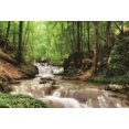 thumbnail image 2 of BSDHOME 7x5ft Photography Backdrop Nature Jungle Trees Cascade Grass Field Travel Photo Background Backdrops, 2 of 4