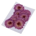 thumbnail image 1 of Flores naturales prensadas, flores secas para scrapbooking, tarjetas y decoración del teléfono. Margarita púrpura, 1 of 9