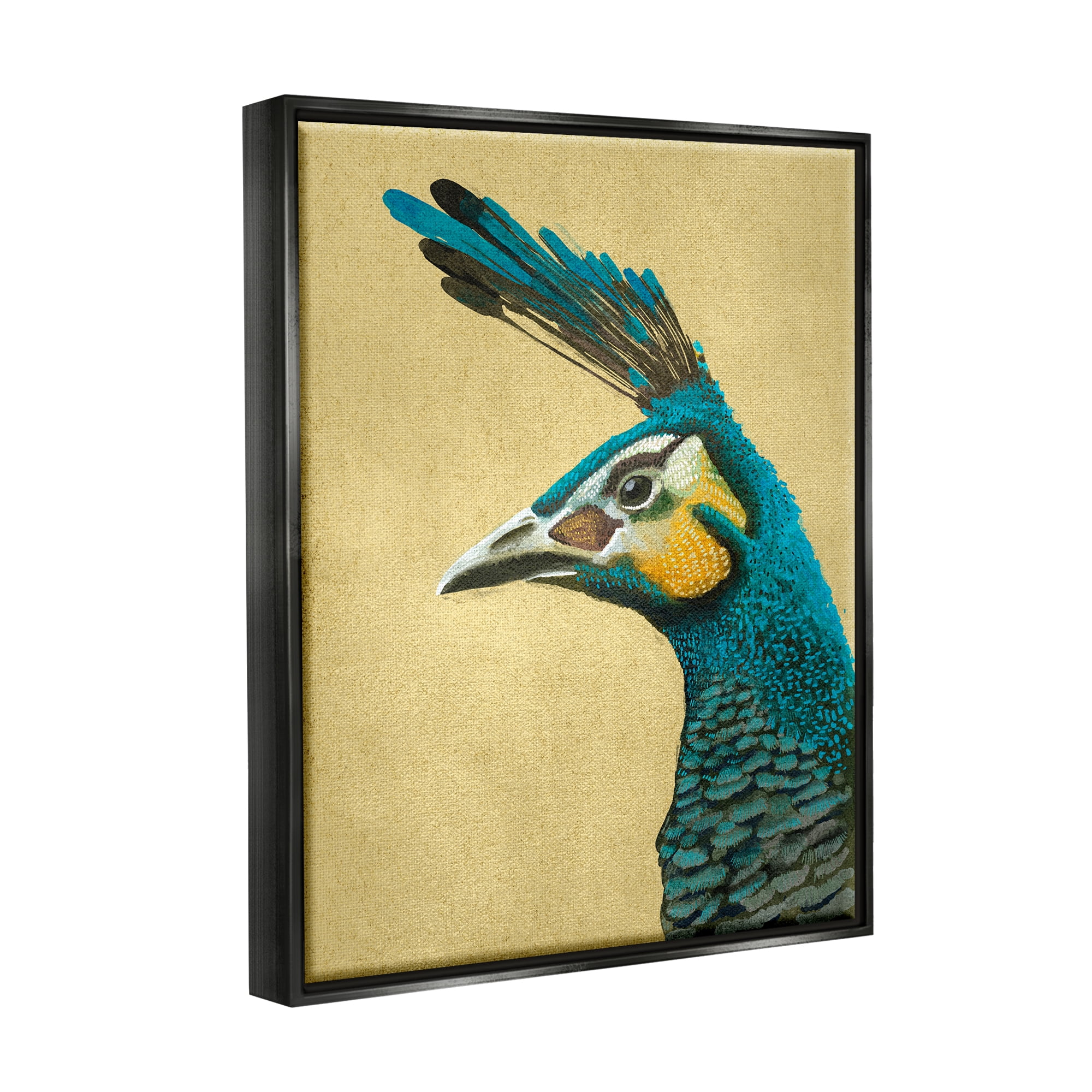 Stupell Industries Peacock Looking Left Animals & Insects Painting Black Floater Framed Canvas Art Print Wall Art, 17 x 21