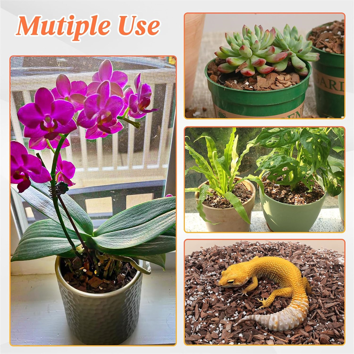 QZS Premium Orchid Potting Mix,Premium Orchid Bark Potting Mixture for Root Ventilation & Expanding,Fit for Phalaenopsis,Flower