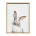 thumbnail image 3 of Kate and Laurel Sylvie Animal Studio Male Rabbit Framed Canvas Wall Art by Amy Peterson Art Studio, 18x24 Natural, Whimsical Fun Animal Nursery Art for Wall, 3 of 7