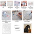 thumbnail image 3 of Paint By Numbers Kit for Adults Beginner - DIY Majestic Black Horse Sunset Canvas Painting Kits for Adults, Frameless Paint By Number for Adults for Home Wall Decor 16x20 Inch, 3 of 7