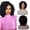 Black, variant on Retro Dreadlocked Short Curly Hair Wig for Women - Comfortable Twisted Braids Cosplay Hairpiece
