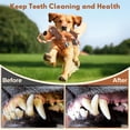 thumbnail image 5 of Xekoro Squeaky Dog Toys, Tug of War Dog Toy for Large Dogs, Plush Puppy Toys with Pull Rope, Interactive Dog Toys for Small, Middle, and Big Dogs, 5 of 7