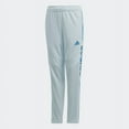 thumbnail image 3 of Adidas Youth Girls (7-16) Tiro 19 Training Pants, Sky Tint/White, 3 of 4