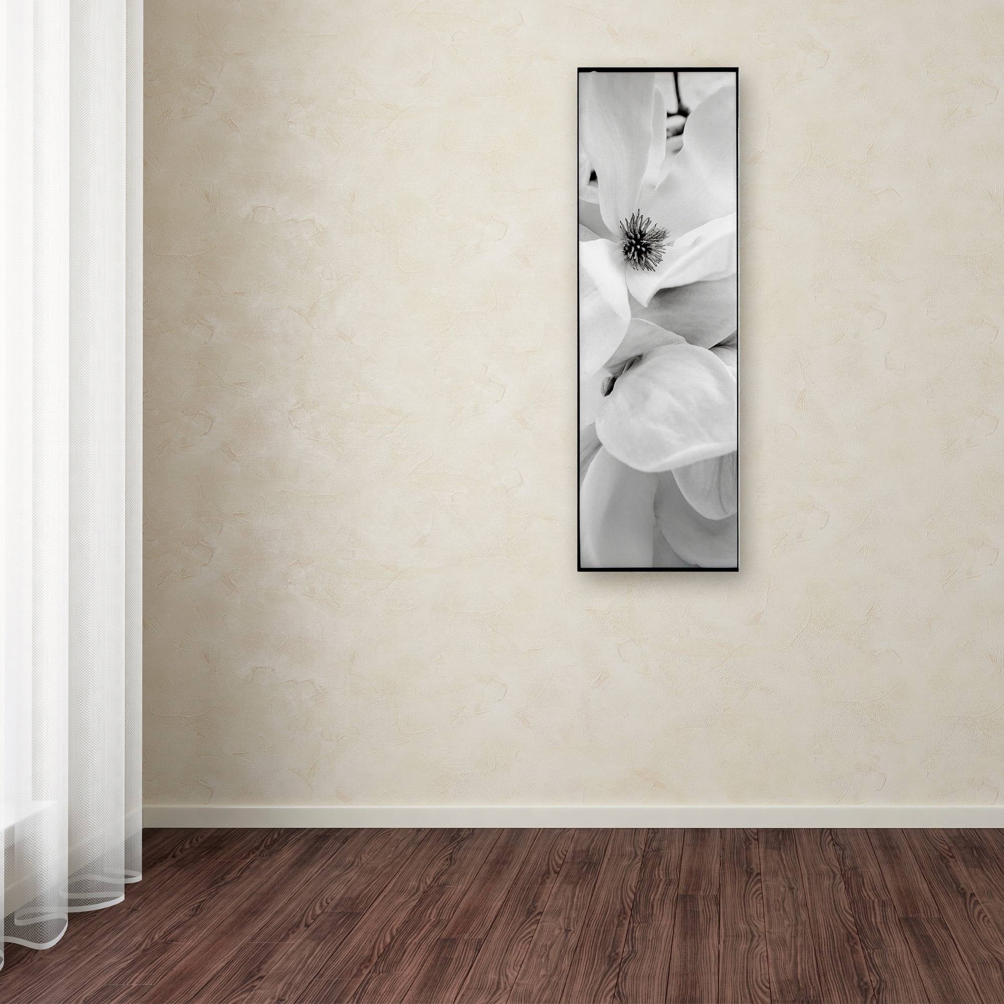 Trademark Fine Art "Magnolia I" Canvas Art by Alan Blaustein