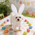 thumbnail image 5 of NWOKYZGH 3 Set Bunny Ears Easter Costume, Headband Ear Hat Cute Pet Bow Collar Puppy Tail for Pet Easter Party Costume Accessories Supplies, 5 of 6