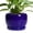 Cobalt Blue, variant on 6 inch Ceramic Planter Blue Glaze with Drainage Hole and Saucer for Orchids and Indoor Plants