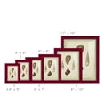 thumbnail image 3 of Bookplate Shells V - Framed Print w/glass - Cherry Red, 3 of 8