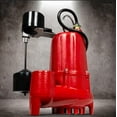 thumbnail image 2 of Red Lion 1/2 Hp Cast Iron Sump Pump, 2 of 9
