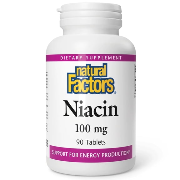 Natural Factors Vitamin B3 Niacin 100 mg, 90 Tablets