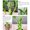 Beige, variant on Dvruxg Artificial Green Plant Potted - Realistic Fake Plants for Home, Office & Hotel Decor | Plastic Faux Greenery for Indoor/Outdoor Decoration