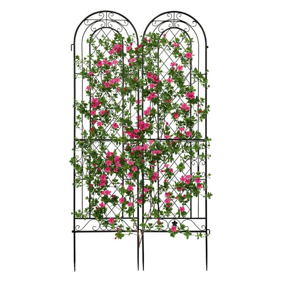 Ktaxon 2 Pack 61x16 Inch Garden Trellis, Rustproof Metal Climbing Plant Support for Roses & Vines, Outdoor