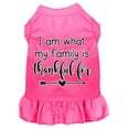 thumbnail image 6 of Pet Dog  Cat Dress Screen Printed, "I Am What My Family Is Thankful For", 6 of 10