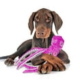 thumbnail image 4 of SPOT Skinneeez Extreme Purple Octopus Stuffing Free Plush Tug Dog Toy, 4 of 5