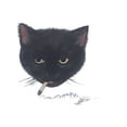 thumbnail image 2 of Y2k Smocking Cat T-Shirt unisex Vintage Graphic Tees Gothic Grunge Scene amity affliction Style Clothes Men Women Streetwear Men Gifts, 2 of 7