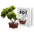 thumbnail image 1 of Maceta Bonsái de Cerámica Esmaltada - Maceta Decorativa para Árboles Enanos Suculentas y Plantas Pequeñas - Perfecta para Centros de Mesa de Jardines Interiores y Exteriores y Decoración de Alféizar -, 1 of 1
