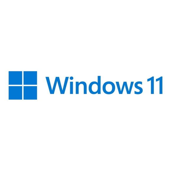 Windows 11 Pro - Box pack - 1 license - flash drive - 64-bit - English