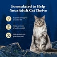 thumbnail image 5 of Blue Buffalo Wilderness High Protein Adult Wet Cat Food Pate, Variety Pack, 3oz Cans 12 CT, 5 of 12