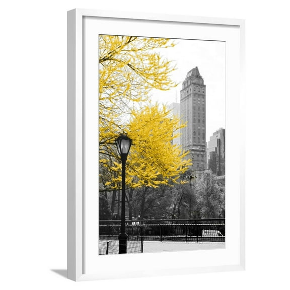 Art.com Central Park with Yellow Tree Photographic Print by Emily Navas, White Frame Wall Art, 21" x 29"