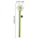 thumbnail image 2 of Varilla Agitadora con Forma de Girasol de Colores, Diseño de Vidrio de Borosilicato, Mango Largo para Mezclar Fácilmente, Ideal para Bebidas y Postres, Fiestas y Eventos, 1 Pieza, Segura y D, 2 of 2