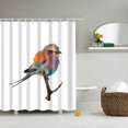 thumbnail image 2 of Cortina de ducha de poliéster con diseño de pájaros, juego de ganchos para baño, panel colgante de 1,8 x 1,8 m, 2 of 4