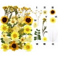 thumbnail image 3 of 30 piezas de flores secas prensadas reales, kit natural a granel de hojas secas para manualidades, Amarillo, 3 of 3