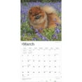 thumbnail image 3 of Pomeranians 2025 12 X 24 Inch Monthly Square Wall Calendar Plastic-Free (Wall), 3 of 9