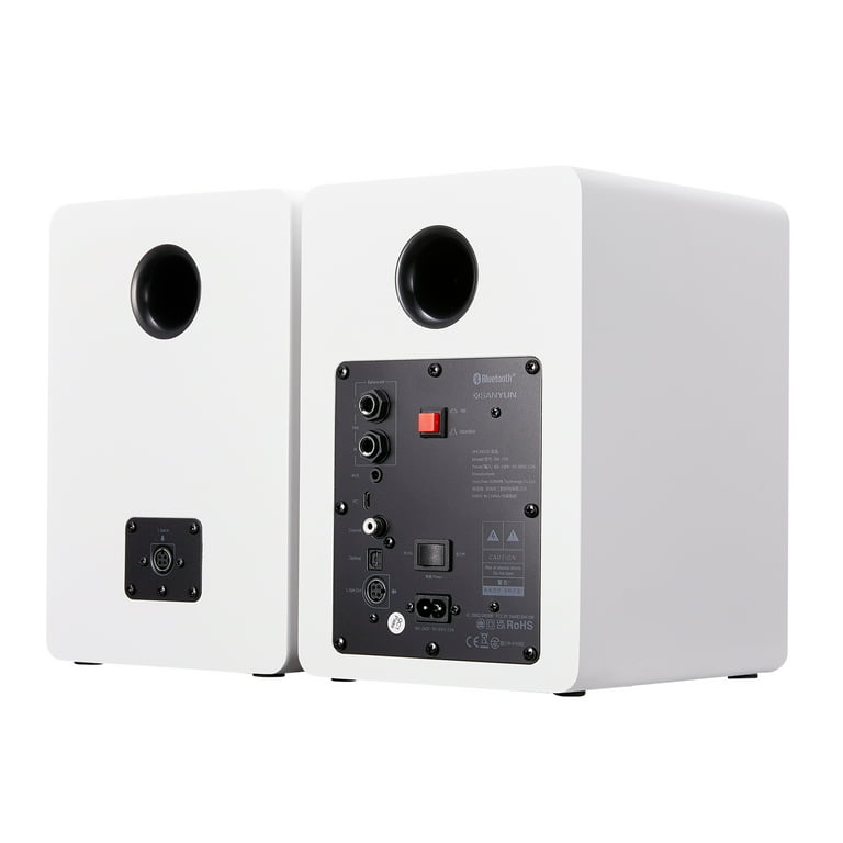 Amazon.com: Sanyun SW206 80W Active Dual-Mode Bookshelf