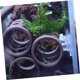 thumbnail image 4 of 20 Uds ventosas sin ganchos gancho para acuario ventosa transparente para fijación de entrada y salida de agua, 4 of 5