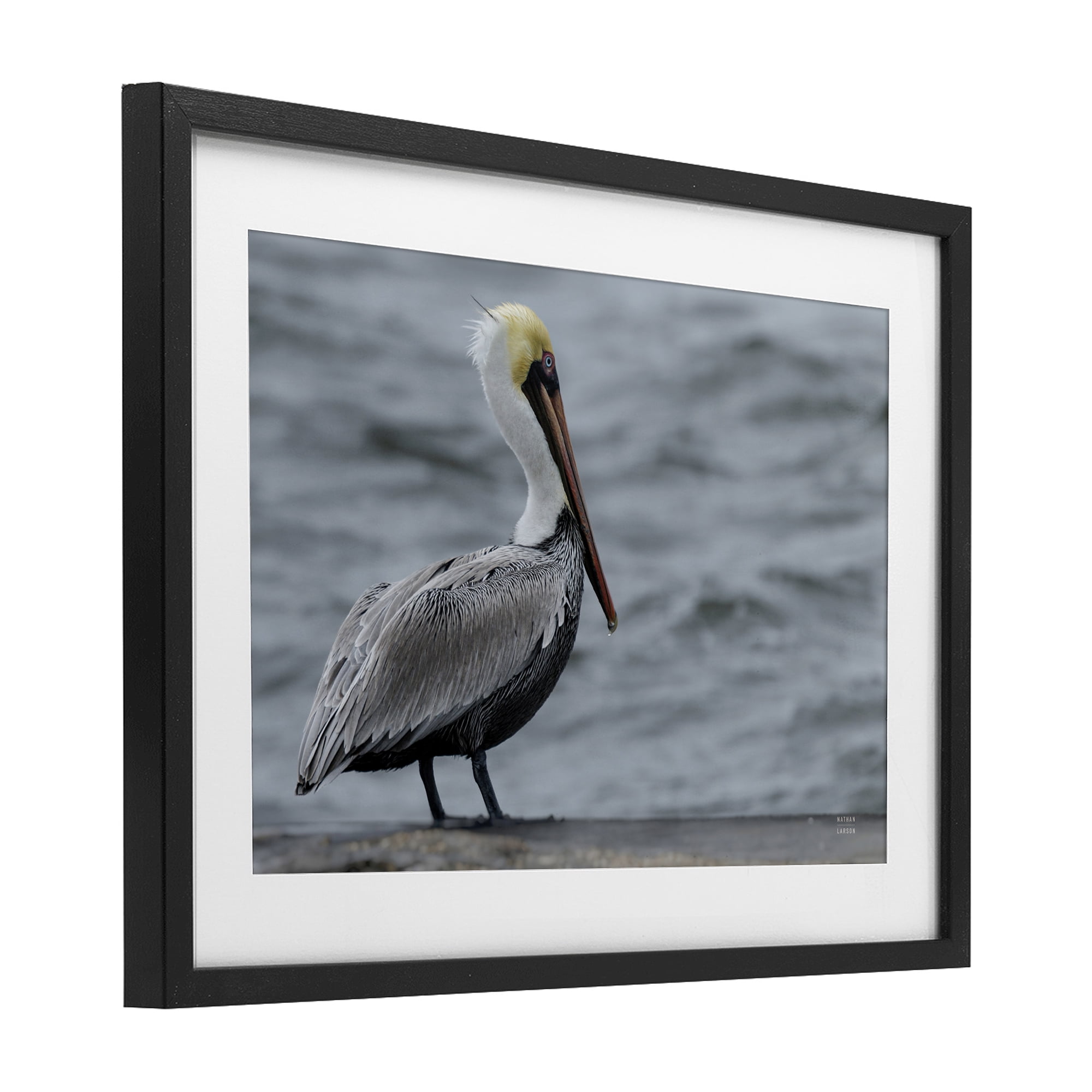 Stupell Industries Pelican Watch Photography Black Framed Print Under Glass, design by Nathan Larson