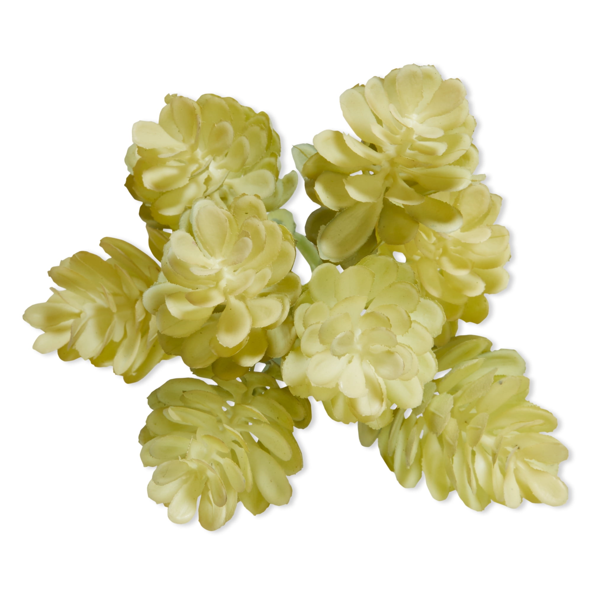 Mainstays Artificial Hops Pick 2.5 Inch x 6.4 Inch Cream