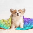 thumbnail image 4 of Pofeuu Rainbow Scales2 Print Puppy Blanket,Dog Blankets,Pet Blanket Cozy Cat Blankets for Indoor Cats, Fuzzy Pet Blanket for Kitten Doggy Dog Blankets-Small, 4 of 8