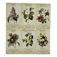 thumbnail image 3 of Oráculo Botanical 44 Cartas Florales + Guía Digital, 3 of 6