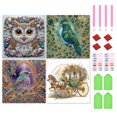 thumbnail image 1 of 4 Uds 5D DIY Taladro Parcial Con Forma Especial Búho Pájaro Kit30x30cm, 1 of 9