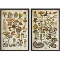 IDEA4WALL Framed Canvas Print Wall Art Set Mushroom Botanical Fine Art Fungus Molds Yeast Toadstools Pattern Art Farmhouse/Country Wall Decor for Living Room, Bedroom, Office - 16"x24"x2 Black