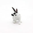 thumbnail image 4 of Papillon Rabbit, 4 of 6