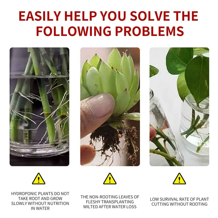 Plant Growth Booster Root Enhancer Plant Growth Booster Concentrate - Root  Enhancer Liquid Fertilizer for Flowers Vegetables Succulents Indoor Outdoor  Plants, 50ml Universal Nutrient Solution White - Walmart.com