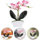 thumbnail image 5 of Mini orquídea mesa planta ornamento planta en maceta artificial para baño cocina, 5 of 8