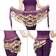 thumbnail image 4 of Danza del Vientre Cinturón, Cinturón de Danza Oriental Belly Dance Cinturón de Lentejuelas con 328 Piezas de Oro(púrpura Oscuro) Ecomeon no, 4 of 6