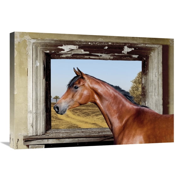 Global Gallery's 'Arab King' by Lauren Julian Stretched Canvas Wall Art