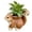 typeB, variant on Cute Animal Planter Pot, Resin Elephant//Squirrel Succulent Flower Pot, Indoor Holder for Home, Office, Garden Decor, Unique Pot