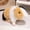 three colors, variant on Cute Brown & White Guinea Pig Plush Toy, Soft Stuffed Hamster Animal, Adorable Pet Gift for Kids/Adults, 8 Inch