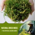 thumbnail image 3 of Ropa de cama de musgo para reptiles, terrarios y serpientes, 140 — 150 g, Garden Story, 3 of 6
