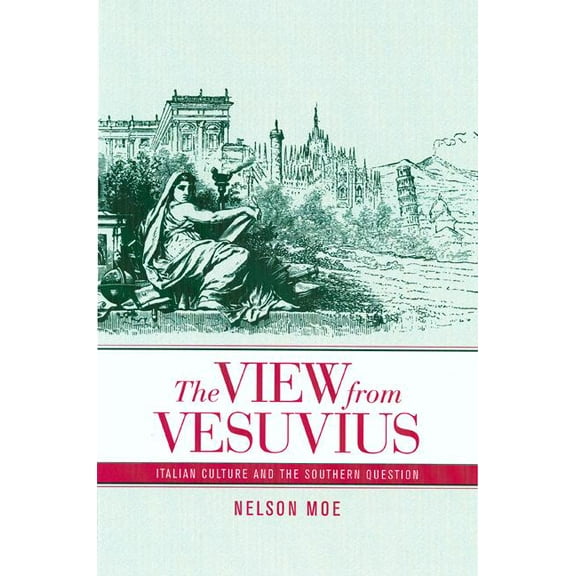 Studies on the History of Society and Culture: The View from Vesuvius : Italian Culture and the Southern Question (Series #46) (Edition 1) (Paperback)