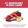 thumbnail image 5 of IAMS Proactive Health Minichunks Adult Dry Dog Food with Lamb & Rice, 30 lb. Bag, 5 of 11