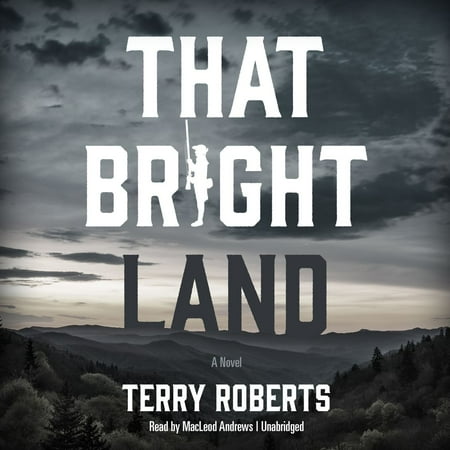 That Bright Land Audiobook Walmart Com