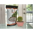 thumbnail image 2 of Shohin Bonsai Soil - 2 qt, 2 of 4